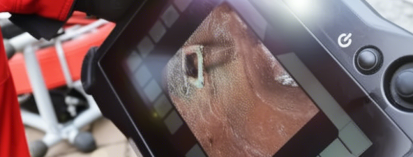 Кога трябва да се направи проверка на канализацията с камера? 1 Кога трябва да се направи проверка на канализацията с камера?